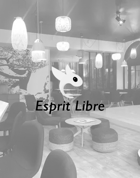 Esprit Libre
