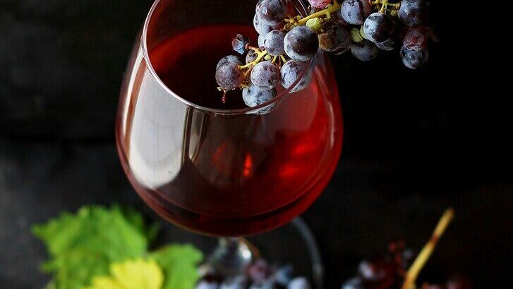 Oenological teambuilding Les Epicurieuses