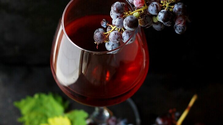 Oenological teambuilding Les Epicurieuses